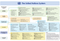 Struktur Organisasi PBB