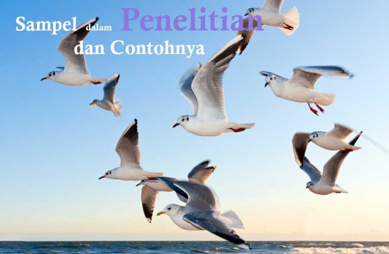 √ Pengertian Sampel Penelitian, Jenis dan Contohnya | DosenPPKN.com