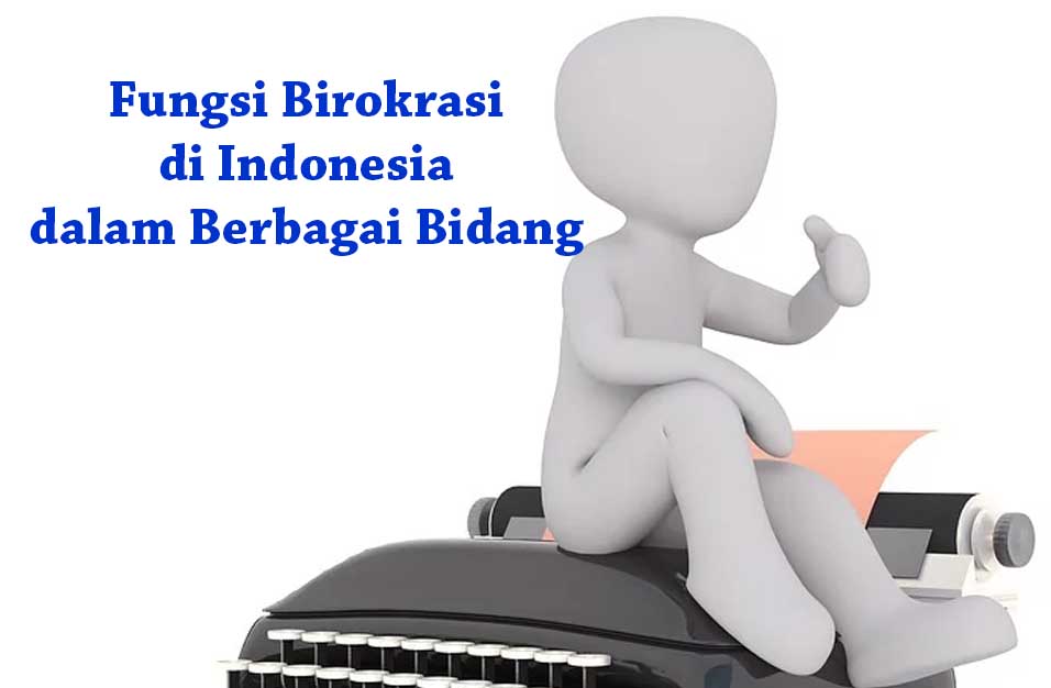 Fungsi Birokrasi di Indonesia