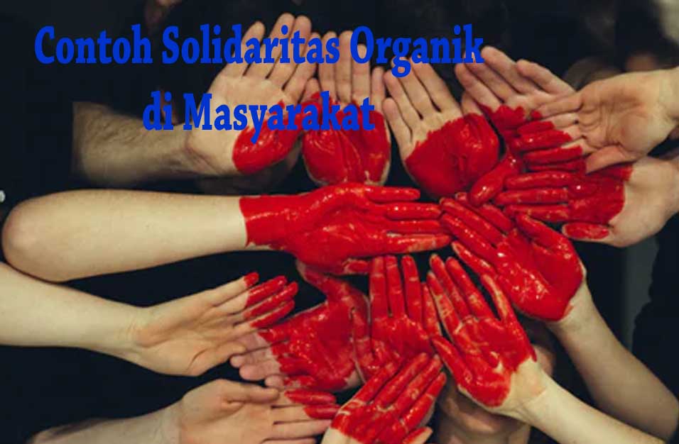Solidaritas Organik di Masyarakat